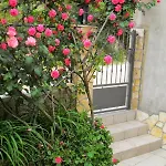 Apartment Family-friendly With Swimming Pool Mastrinka, Ciovo - 22372 Trogir