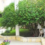 Apartment Family-friendly With Swimming Pool Mastrinka, Ciovo - 22372 Trogir